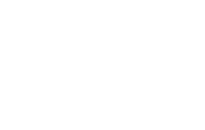 Wella Professionals Logo