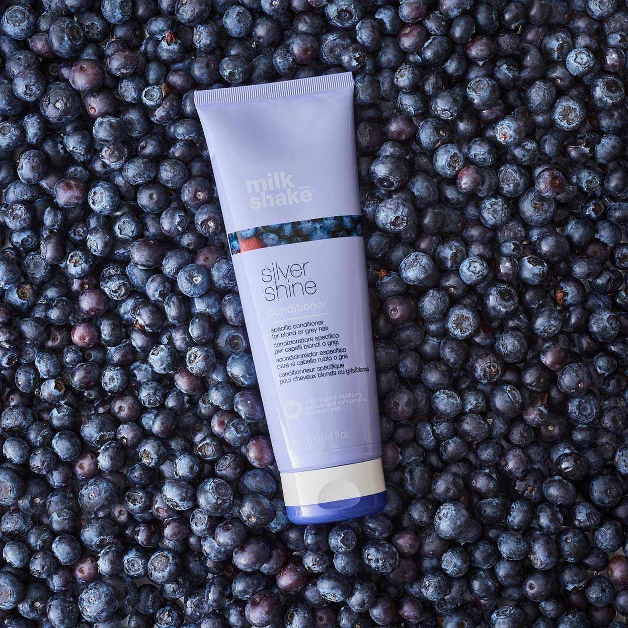 Silver Shine Conditioner 250ml